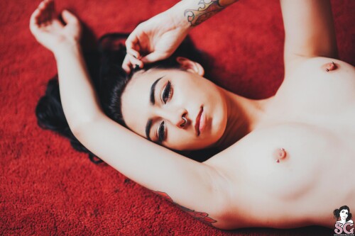 Skyhook Nova Nude Leaked Onlyfans Photo Skyhook Nova Nude Leaked Onlyfans Photo