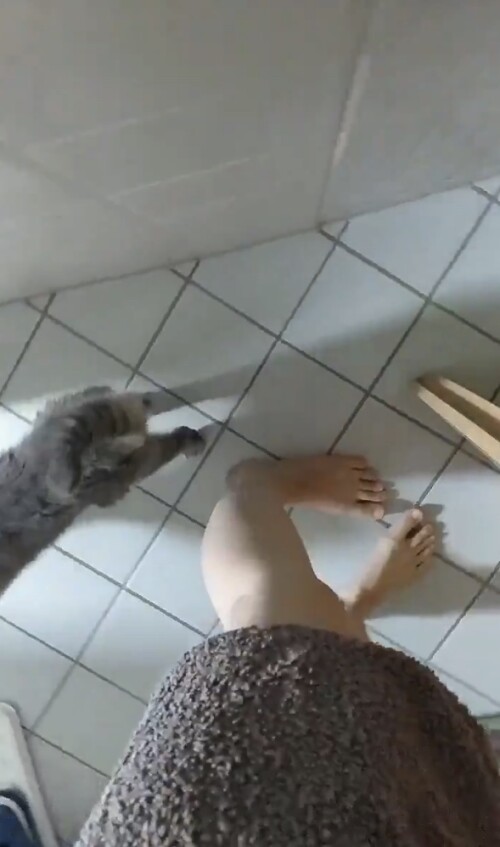 Baso-Feet-4411291.md.jpg