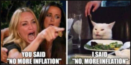 Confused-cat-inflation-AAYly34.jpg