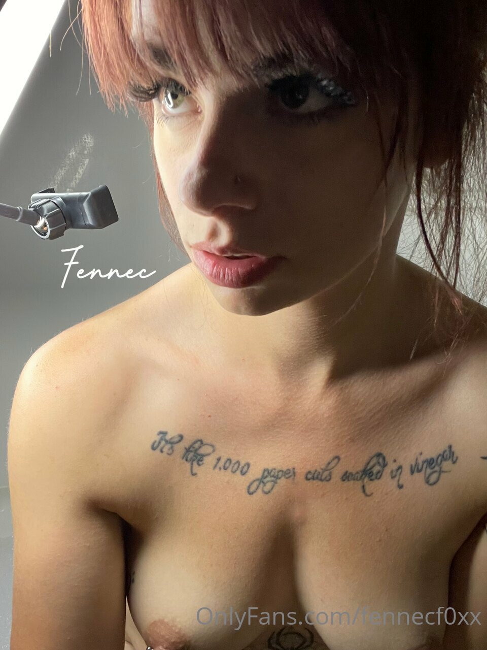 fennecf0xx Leaked Photo 1614924 - Fapello.su