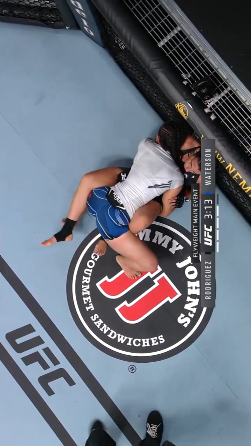 UFC.Fight.Night.Rodriguez.vs.Waterson.720p.WEB-DL.H264.Fight-BB.00_00_07_11.Still002.md.png