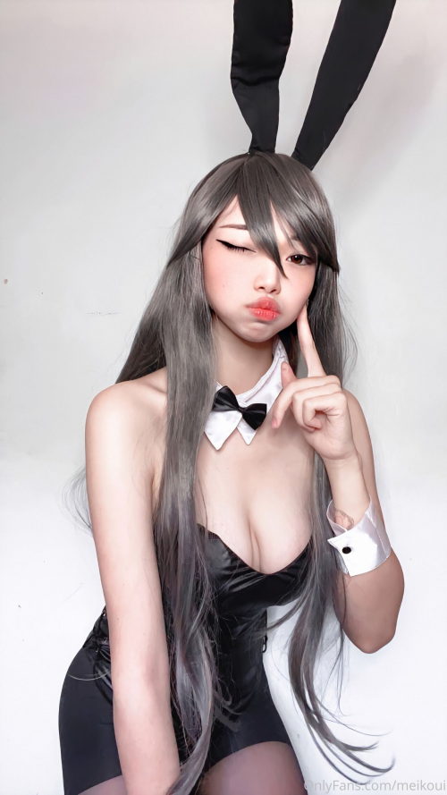 imageb8832ff704adba4e.png