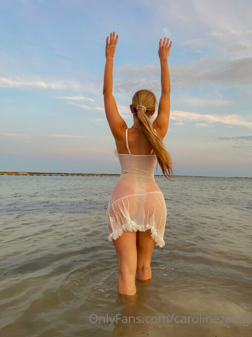 sunsetwetsheerpov5.jpg