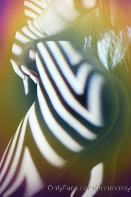 yfe9226a0b9827494.png